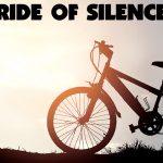 article image - 